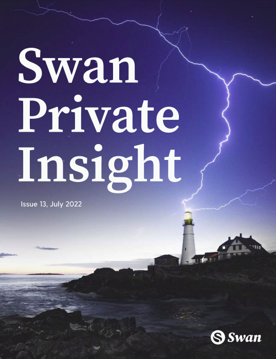 Swan Private Insight Update #13