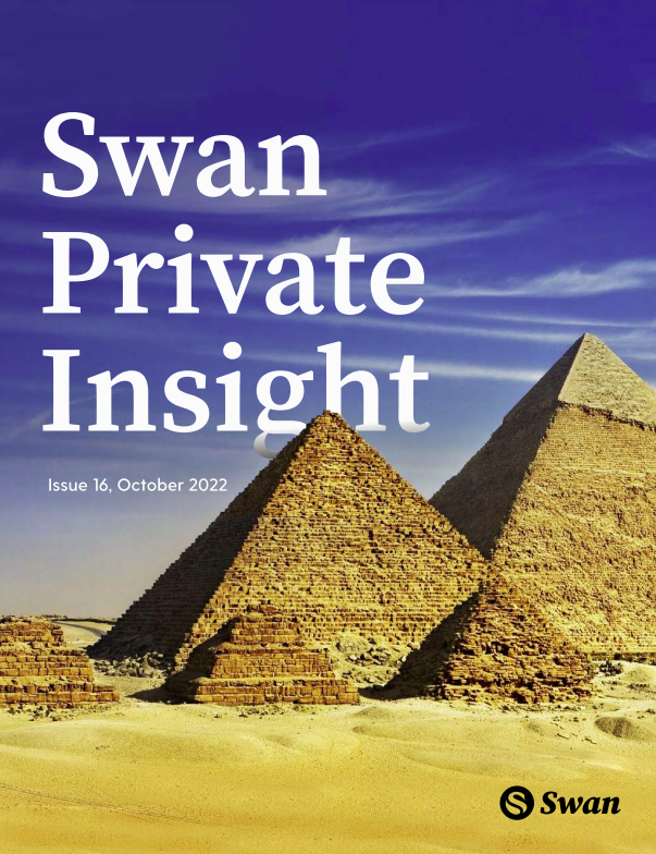 Swan Private Insight Update #16