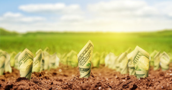 Why Selling Some Bitcoin at a Loss Can Maximize Your Hodling Potential