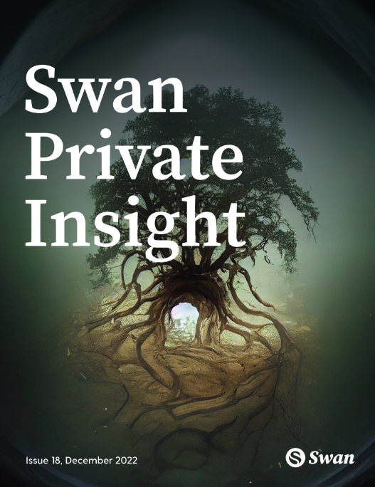 Swan Private Insight Update #18
