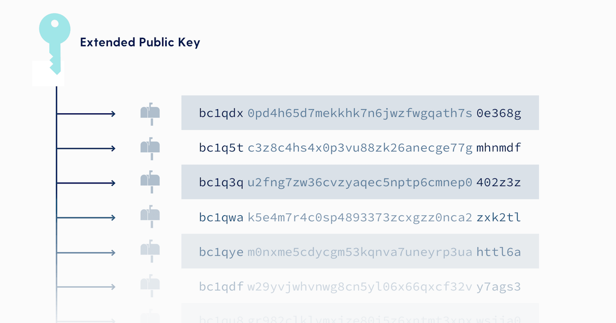 What is an XPUB? - Swan Bitcoin
