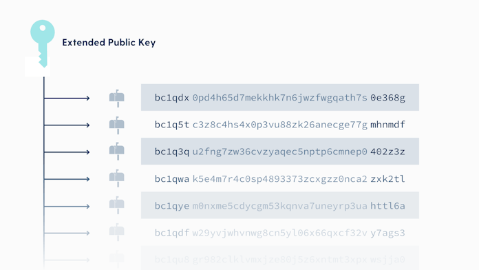 What is an XPUB?