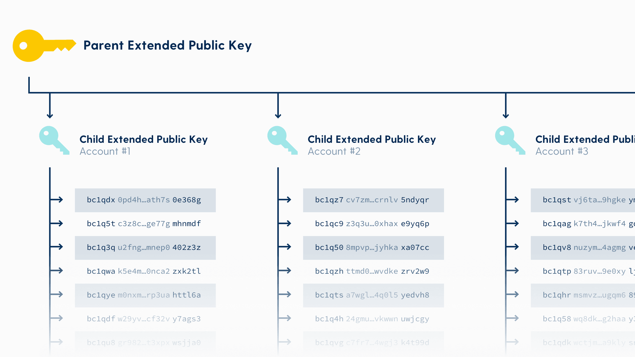 What is an XPUB? - Swan Bitcoin