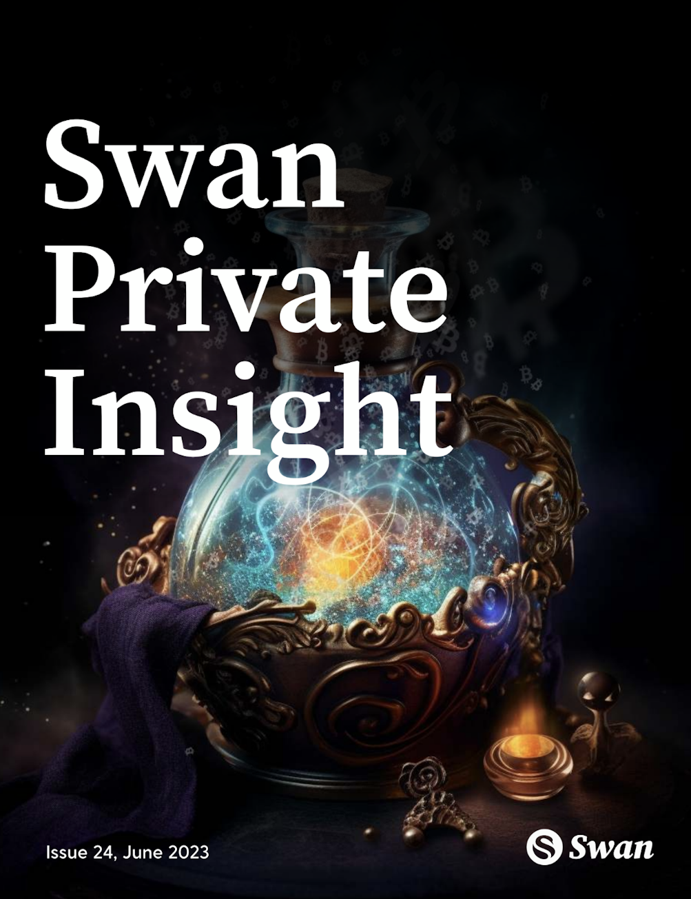 Swan Private Insight Update #24