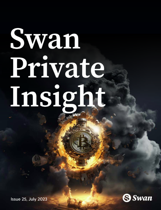Swan Private Insight Update #25