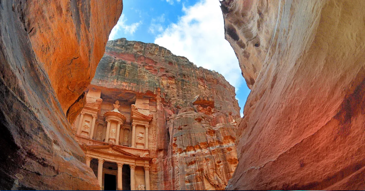 Swan Signal Monthly: February 2021 Newsletter