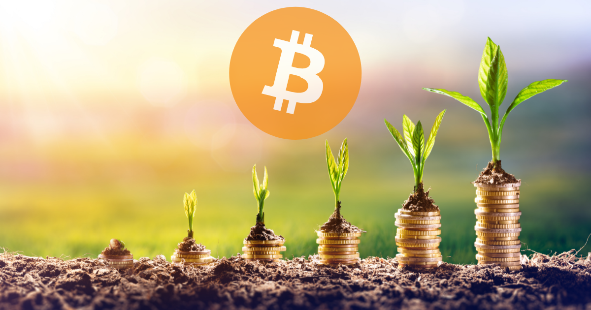 Why Every Investor Should Have Bitcoin in Their Portfolio
