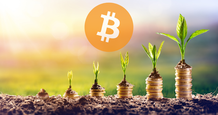 Why Every Investor Should Have Bitcoin in Their Portfolio