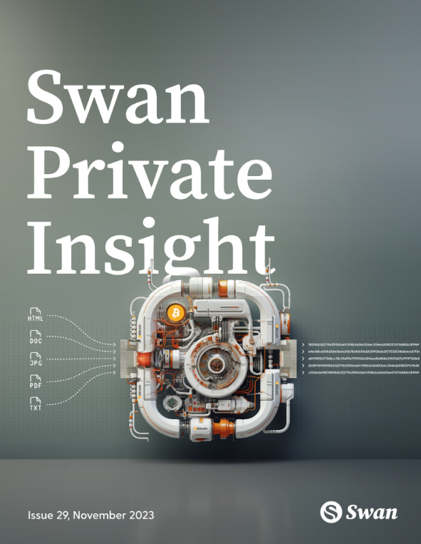 Swan Private Insight Update #29