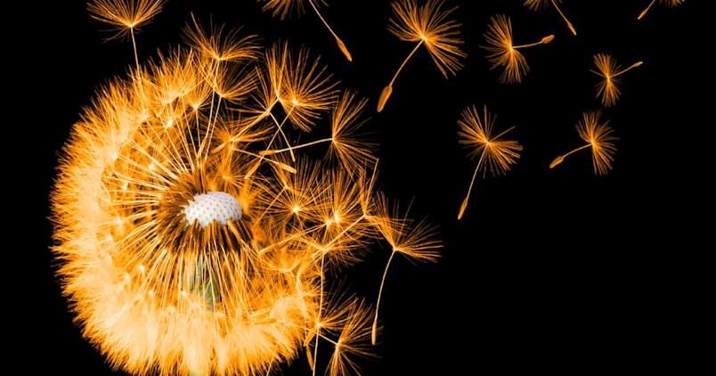 The Zen of Knowing Your Opinion on Bitcoin Doesn’t Matter