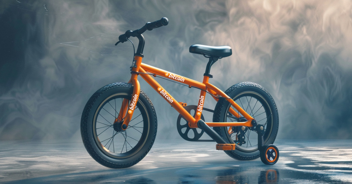 Bitcoin for Beginners in 2024: Top 5 Steps to Get Started