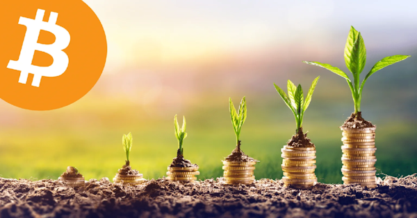 The Magic of Dollar-Cost-Averaging (DCA’ing) Bitcoin