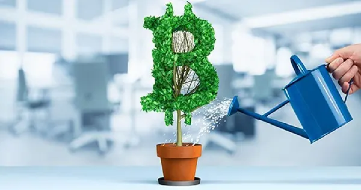 Bitcoin Miners Depilating Dogs?