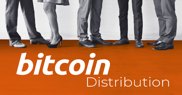 Bitcoin Wealth Distribution