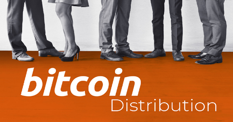 Bitcoin Wealth Distribution