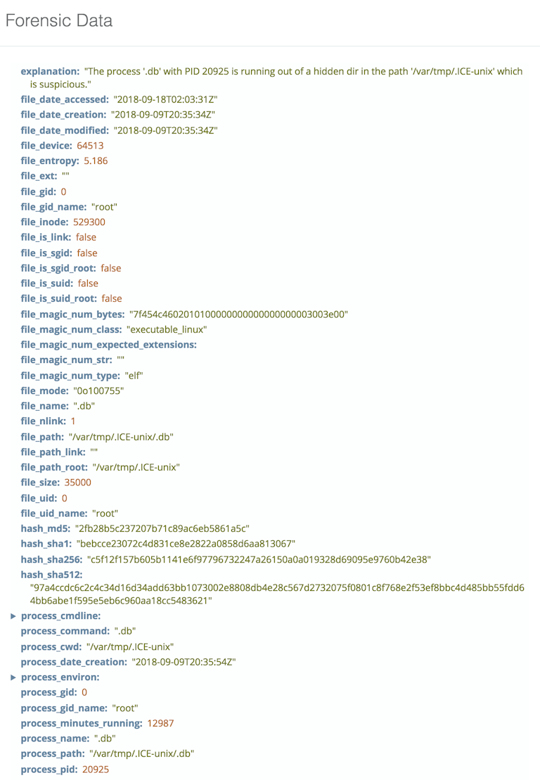 Linux Hidden Subdirectory Malicious Process