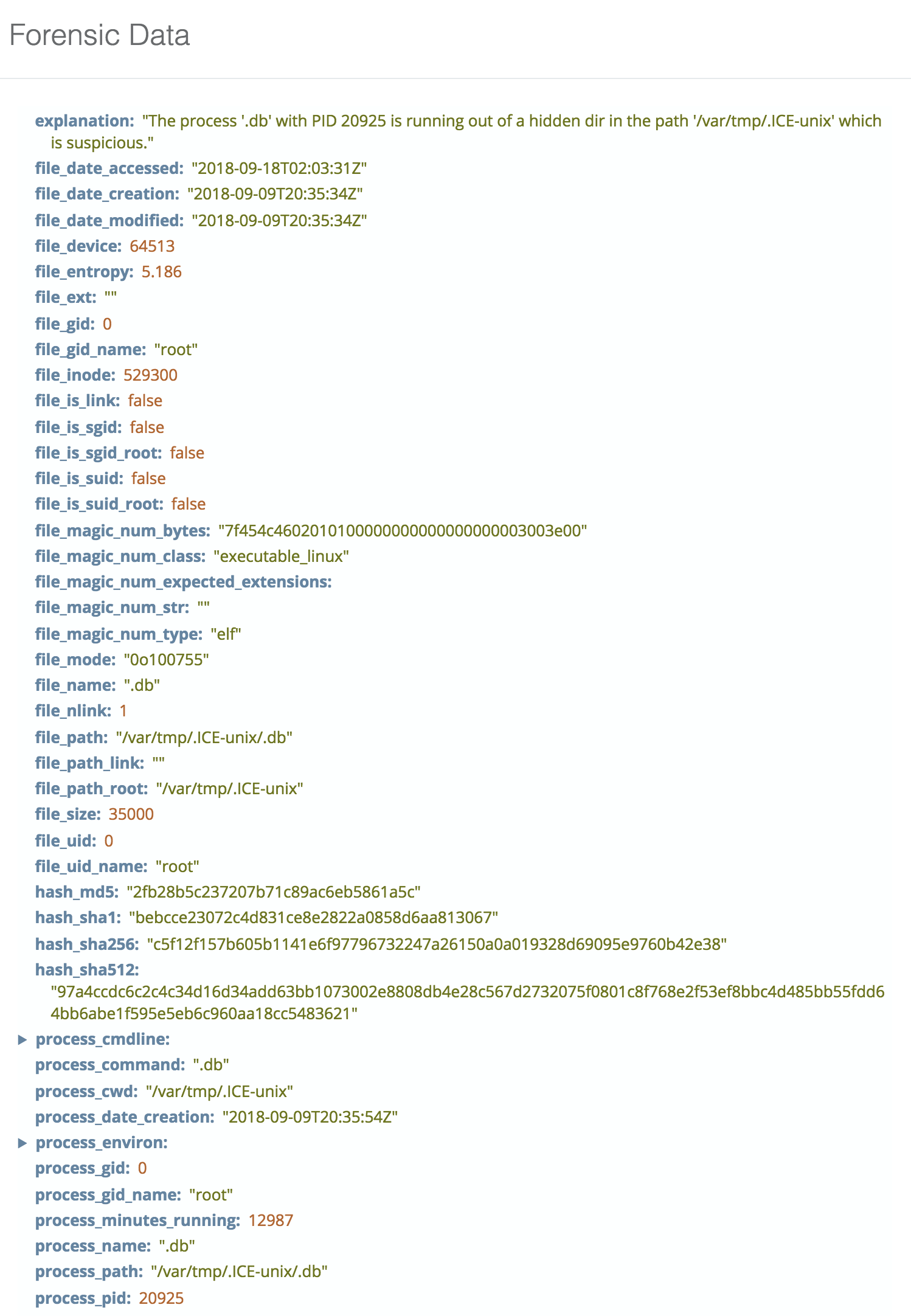 Linux Hidden Subdirectory Malicious Process