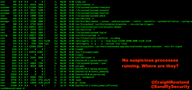 HiddenWasp – No Suspicious Processes