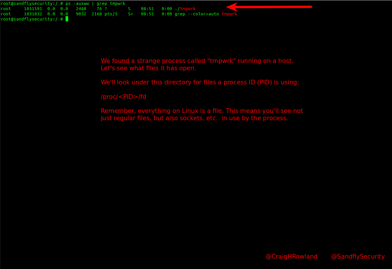 Suspicious Linux process file ps listing.