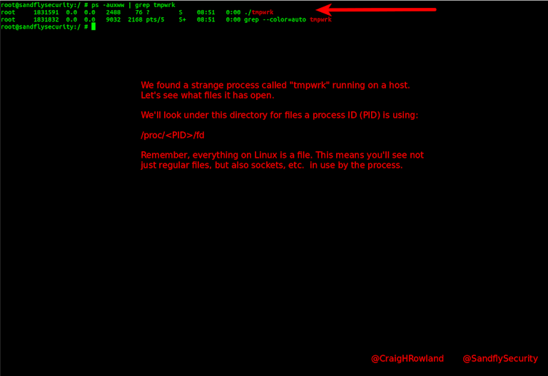 Suspicious Linux process file ps listing.