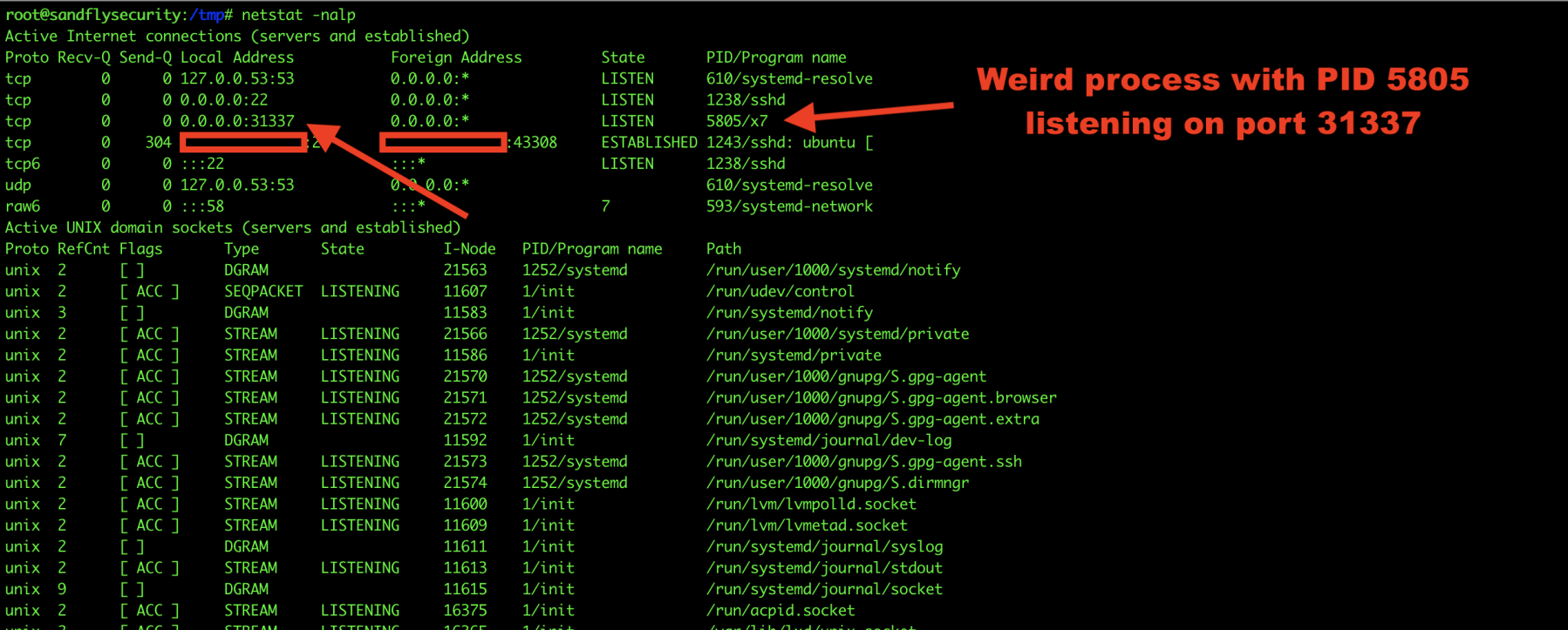 Linux Bind Shell Suspicious Port