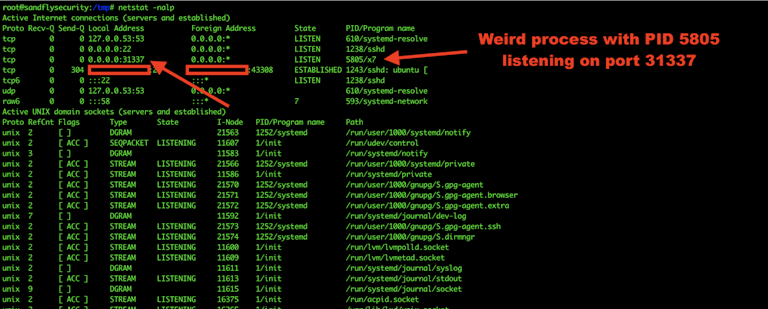 Linux Bind Shell Suspicious Port