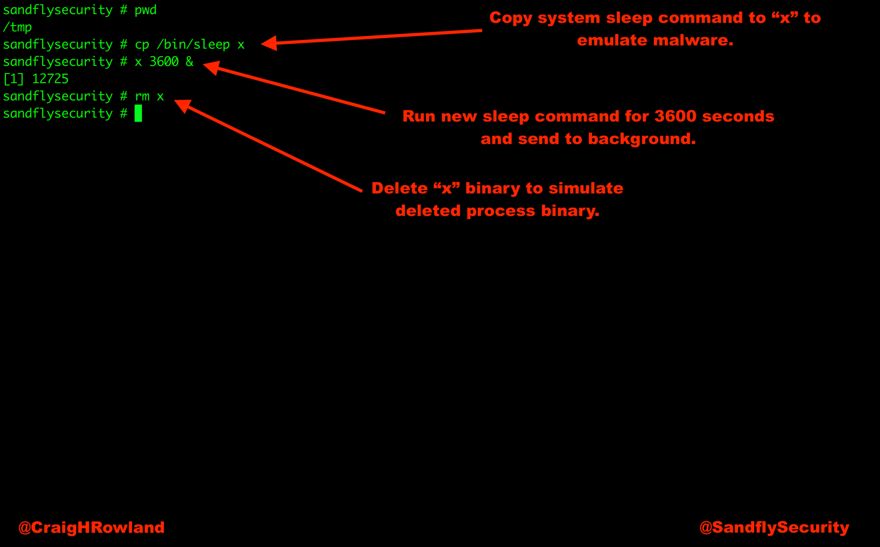 Linux Deleted Process Binary Simulation