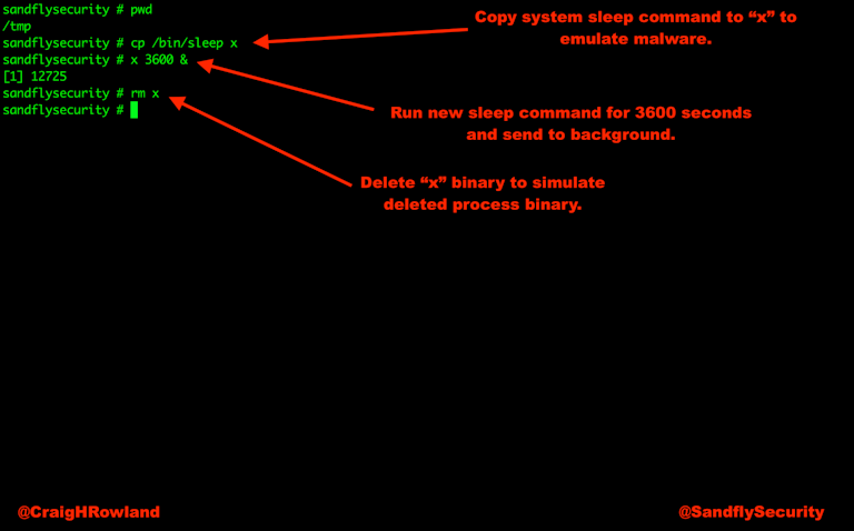 Linux Deleted Process Binary Simulation
