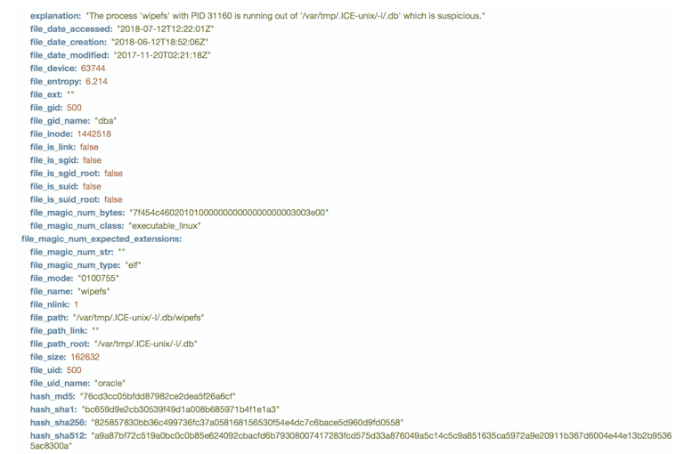 Cryptominer file attributes example