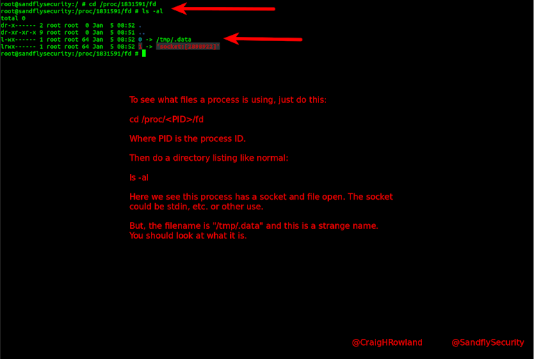 Suspicious Linux process file descriptor /proc listing.