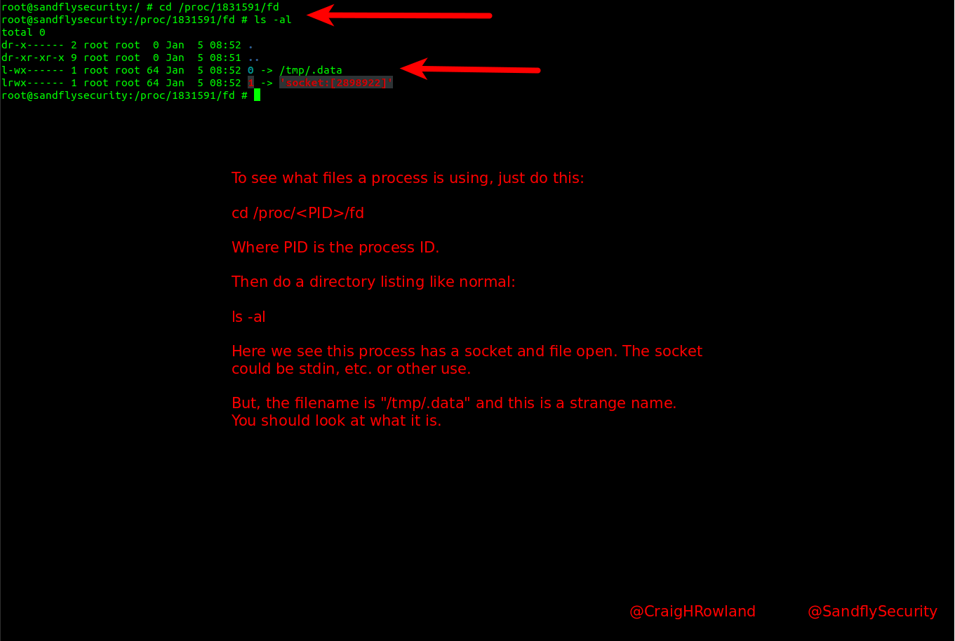 Suspicious Linux process file descriptor /proc listing.