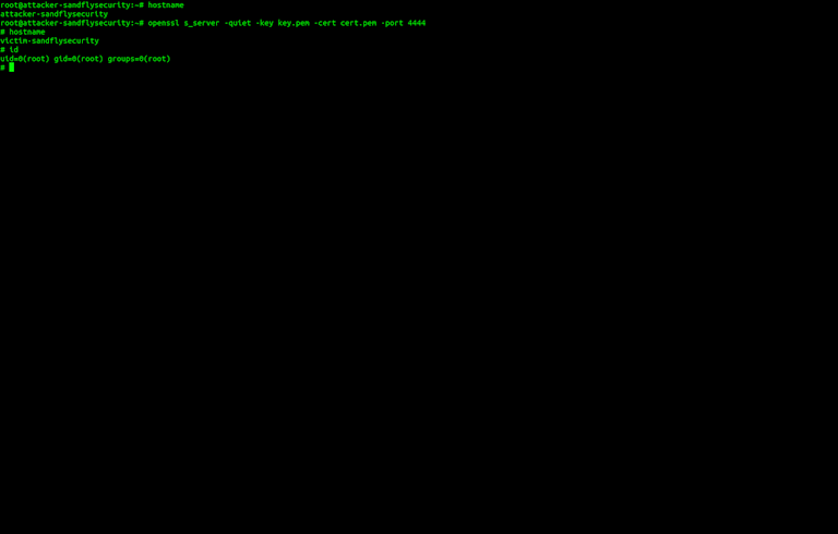 Openssl server backdoor listener.