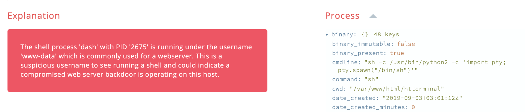 Shell www username example