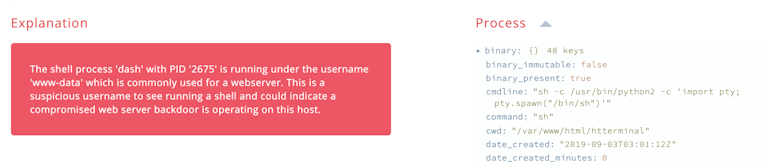 Shell www username example