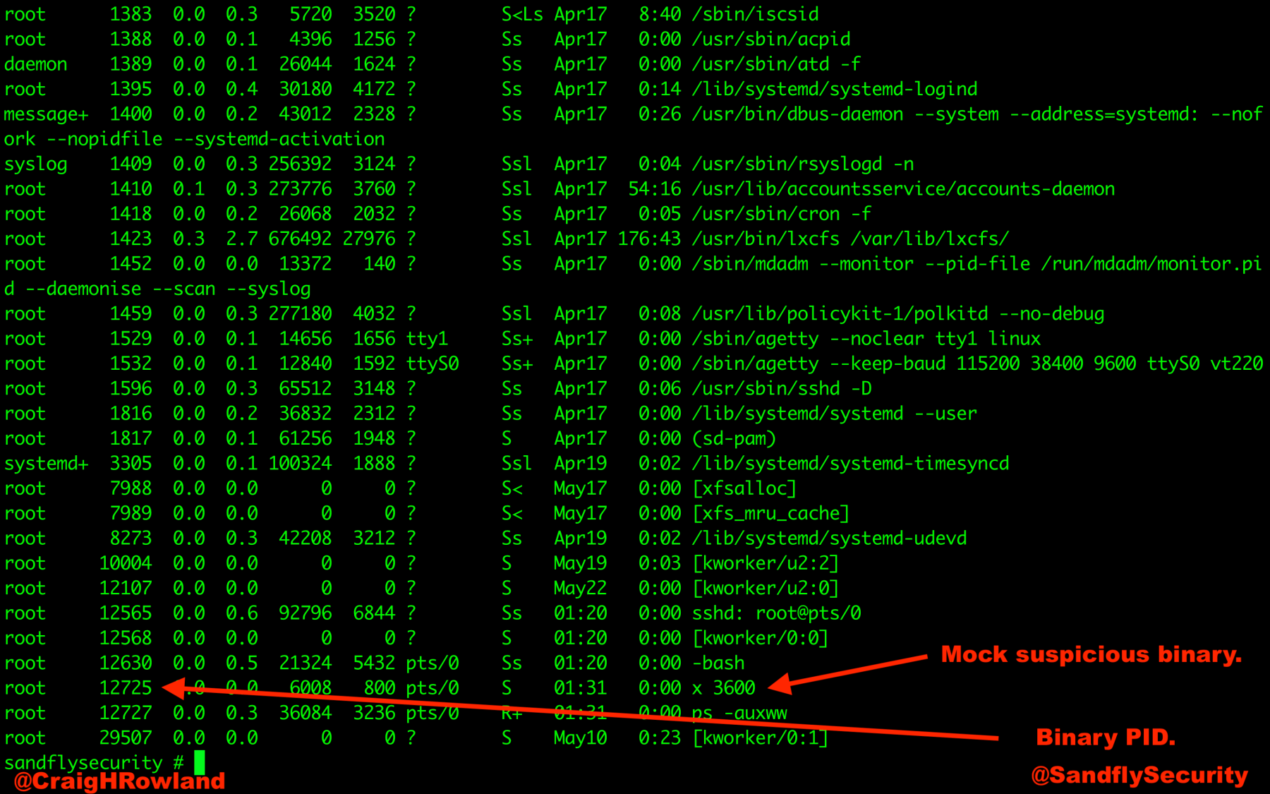 Linux Deleted Process Listing