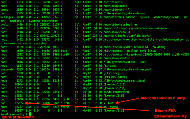 Linux Deleted Process Listing