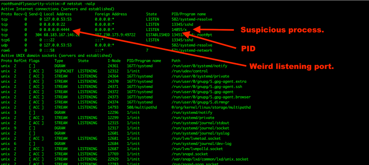 Using Netstat to Find a Malicious Linux Server