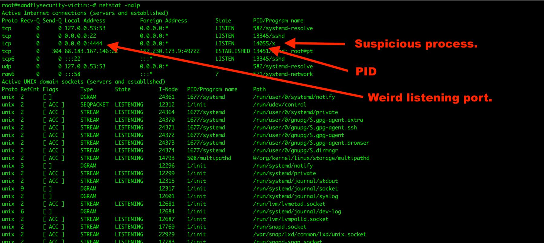 Using Netstat to Find a Malicious Linux Server