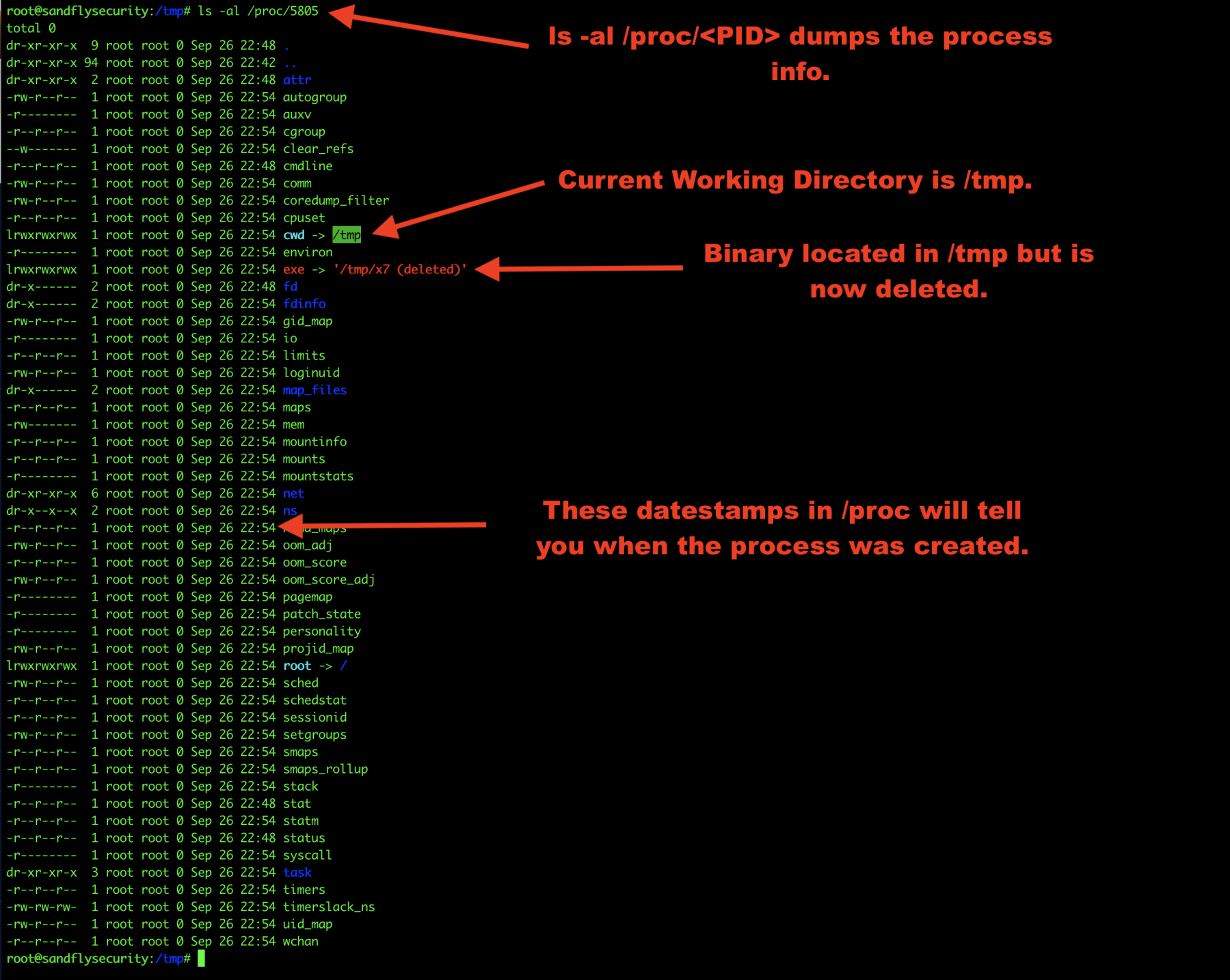 Linux Process Forensics /proc Listing