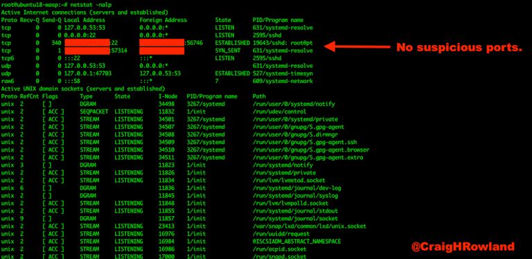 HiddenWasp – No Suspicious Ports