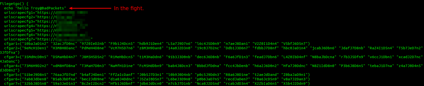 Bad Packets In The Fight