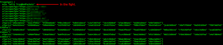 Bad Packets In The Fight