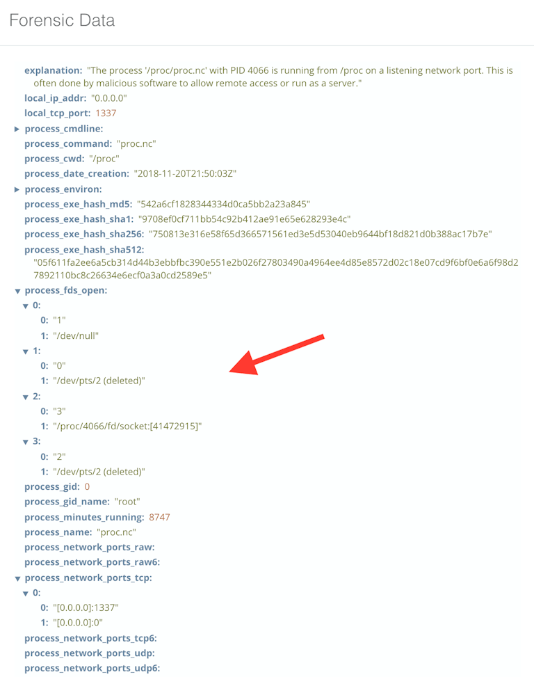 Linux network process file descriptors that are open.