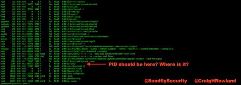 Cloaked Linux Malware ps Listing
