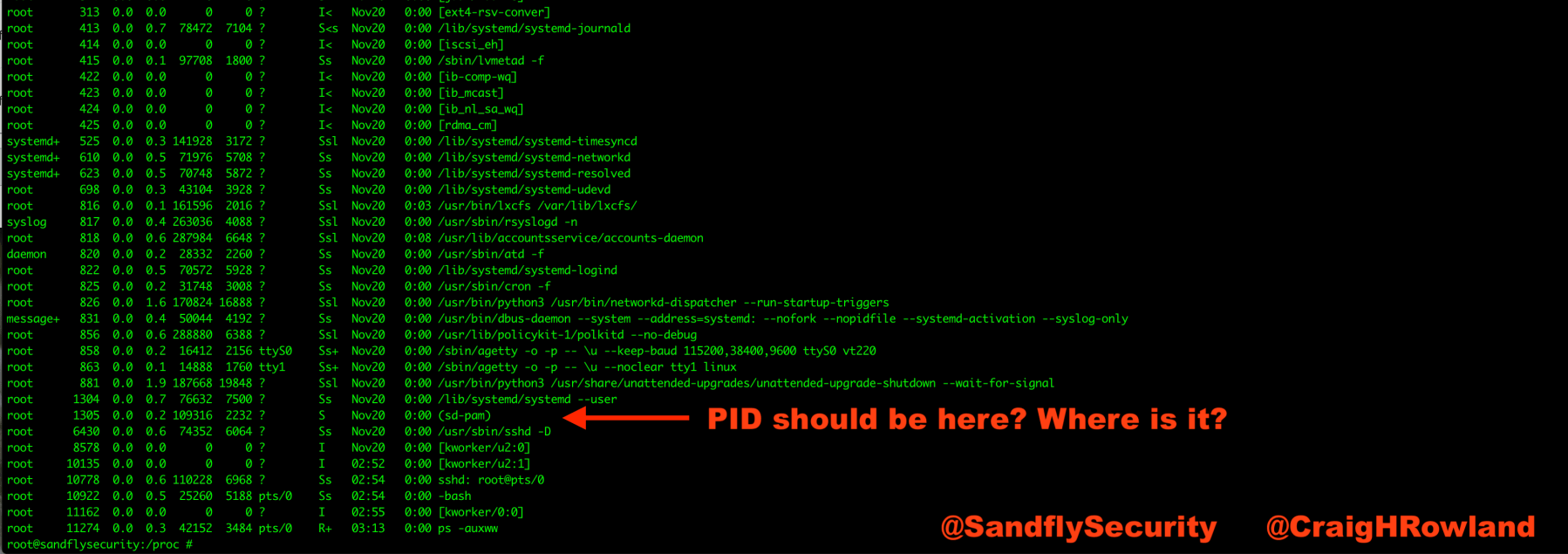 Cloaked Linux Malware ps Listing