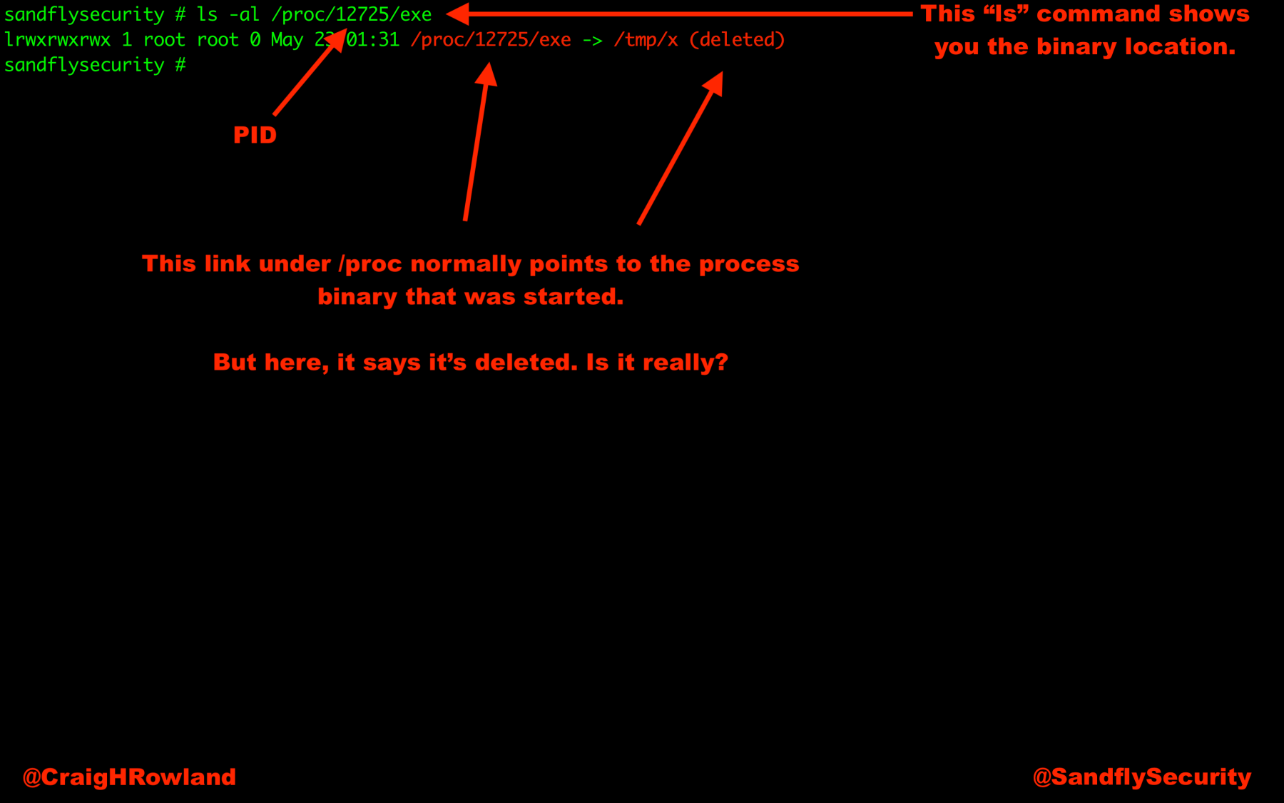 Linux Forensics Deleted Process ls Listing