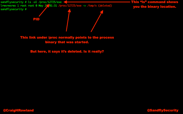 Linux Forensics Deleted Process ls Listing