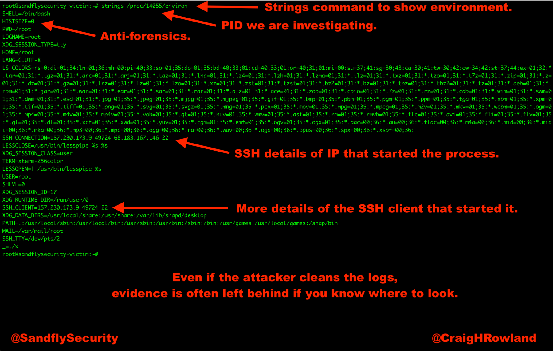 Linux Process Environment Forensics