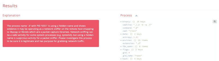 Network Sniffer with Hidden Name